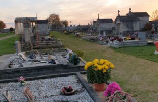 Depuis 2020, les allées du cimetière ont été semées avec un gazon ras, que les agents tondent afin de ne plus utiliser de produits phytosanitaires